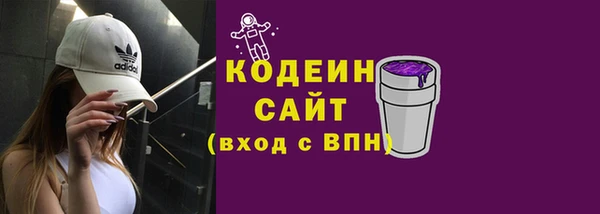 шишки Белокуриха